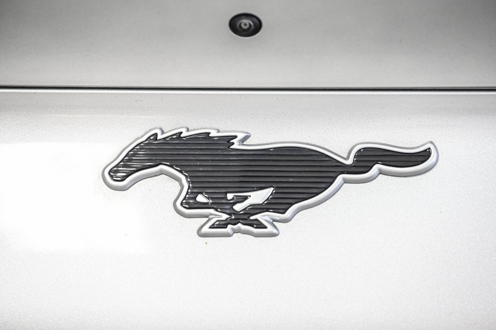 2021 Ford Mustang Mach-E in Brossard, Quebec - 17 - w1024h768px