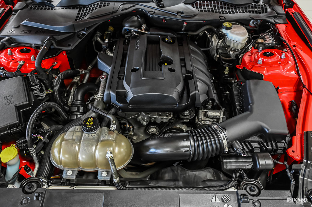 Ford Mustang  2018 à Brossard, Québec - 27 - w1024h768px