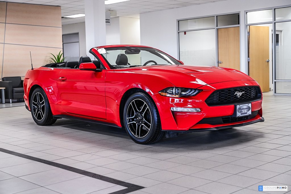 2023 Ford Mustang convertible in Brossard, Quebec - 3 - w1024h768px