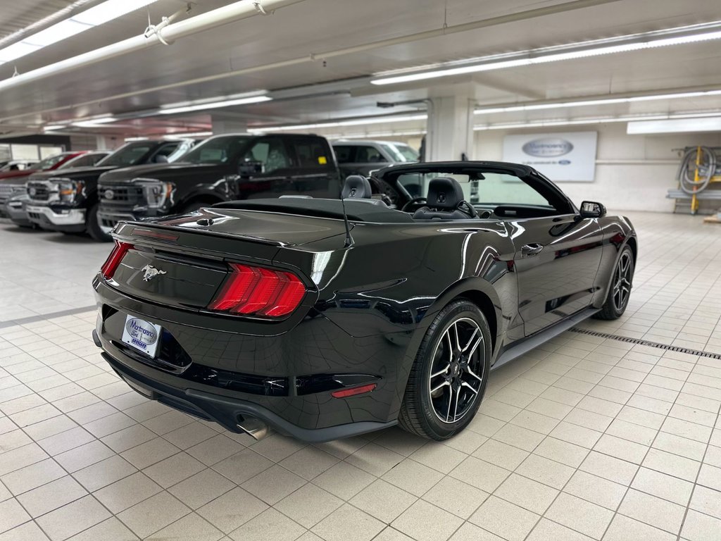 2022 Ford Mustang convertible in Brossard, Quebec - 7 - w1024h768px