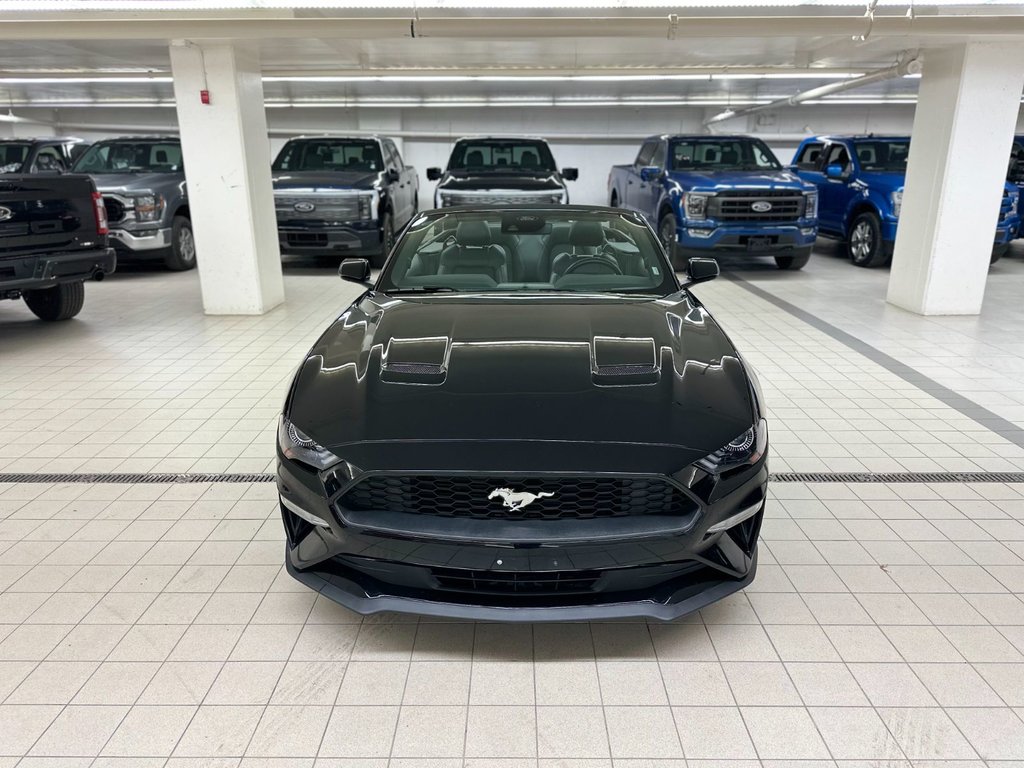 2022 Ford Mustang convertible in Brossard, Quebec - 3 - w1024h768px