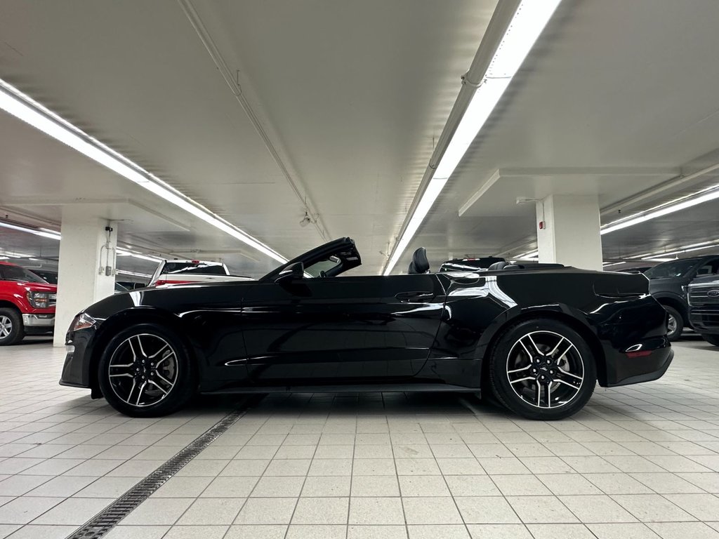 2022 Ford Mustang convertible in Brossard, Quebec - 10 - w1024h768px