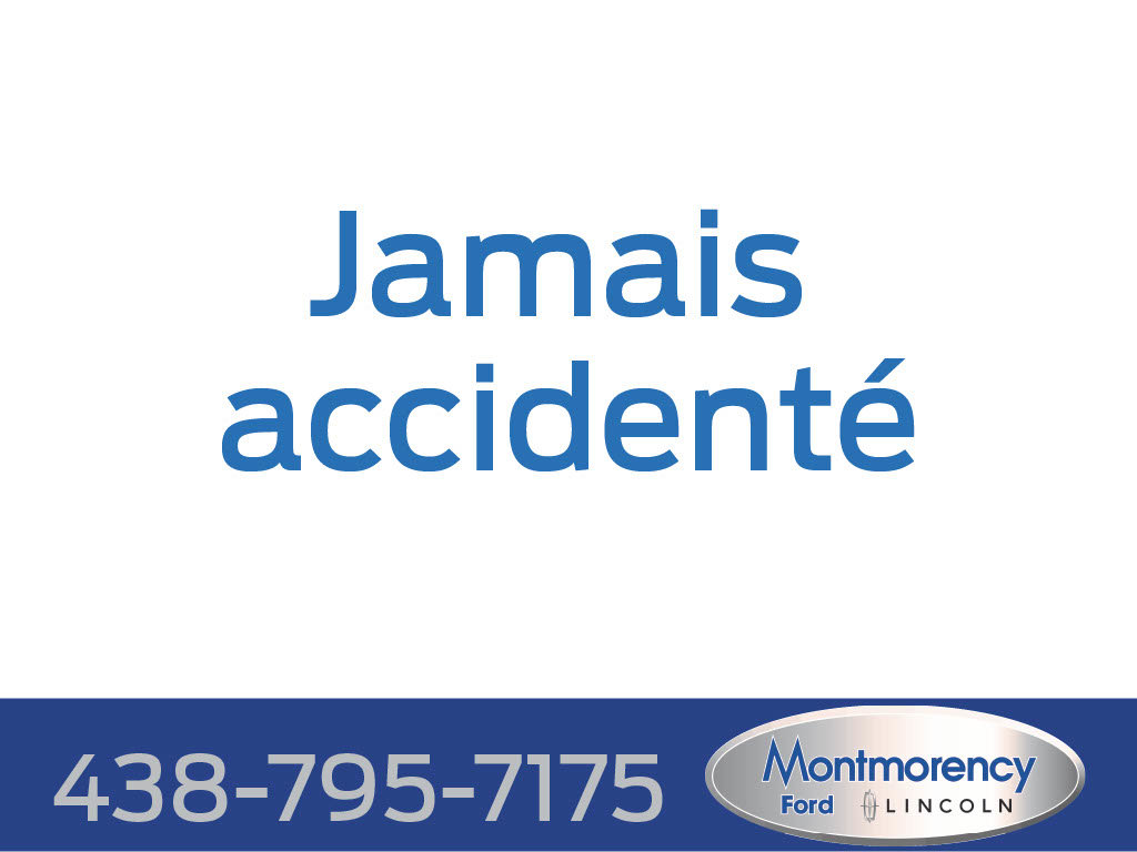 2020 Ford Transit Connect Van in Brossard, Quebec - 3 - w1024h768px
