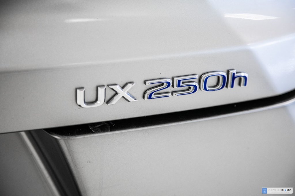 2019 Lexus UX in Brossard, Quebec - 7 - w1024h768px