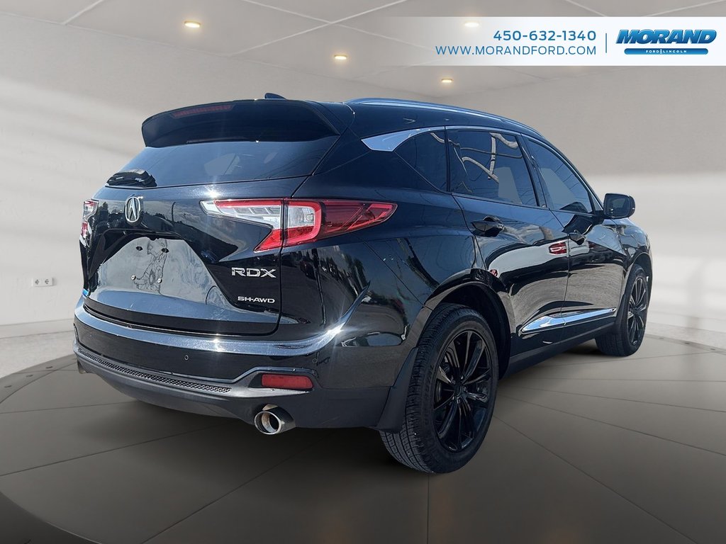 Acura RDX Platinum Elite 2019 à Sainte-Catherine, Québec - 5 - w1024h768px