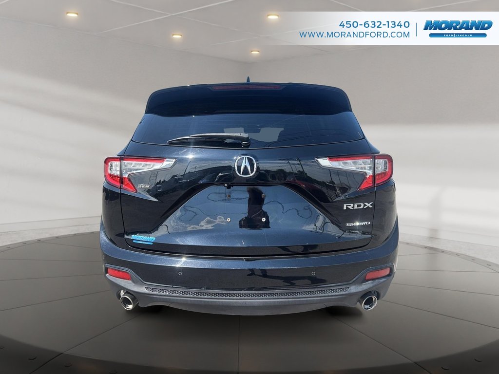 Acura RDX Platinum Elite 2019 à Sainte-Catherine, Québec - 6 - w1024h768px