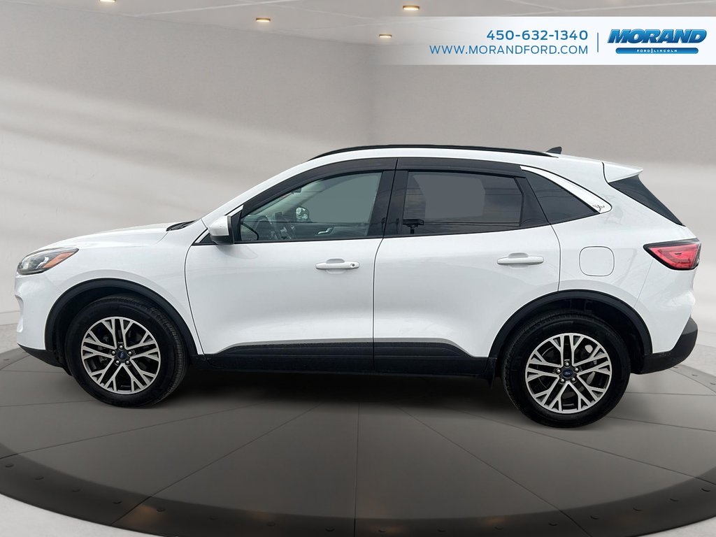 Ford Escape SEL 2020 à Sainte-Catherine, Québec - 6 - w1024h768px