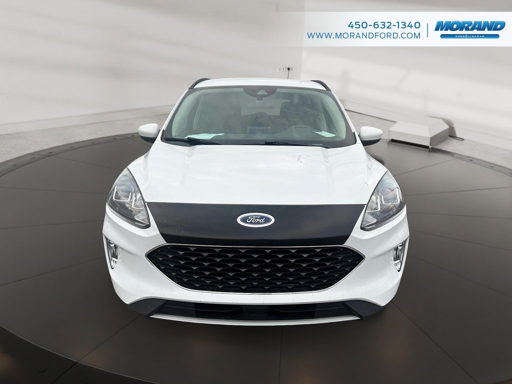 Ford Escape SEL 2020 à Sainte-Catherine, Québec - 8 - w1024h768px