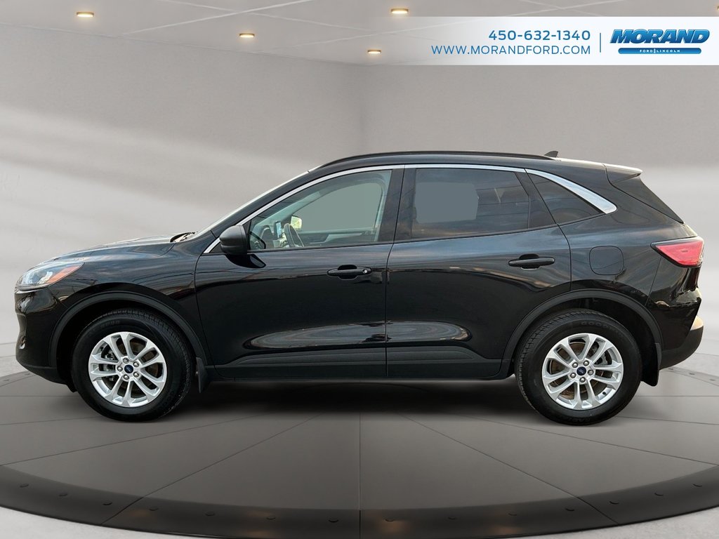 Ford Escape SE Hybrid 2022 à Sainte-Catherine, Québec - 6 - w1024h768px