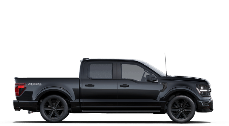 2025 Ford F-150 STX in Sainte-Catherine, Quebec - 5 - w1024h768px