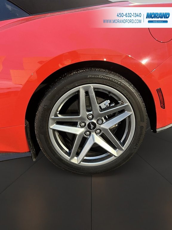 2024 Ford Mustang GT Premium in Sainte-Catherine, Quebec - 9 - w1024h768px