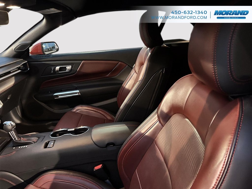 2024 Ford Mustang GT Premium in Sainte-Catherine, Quebec - 12 - w1024h768px