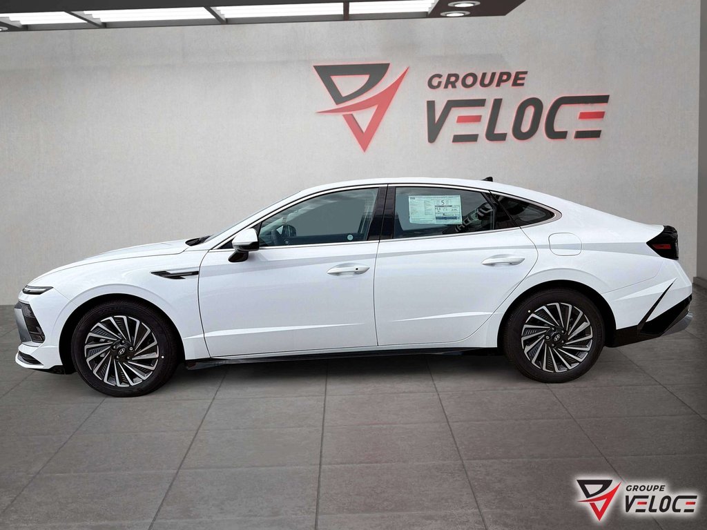 Hyundai Sonata Hybrid Preferred-Trend FWD 2026 à Rivière-du-Loup, Québec - 8 - w1024h768px