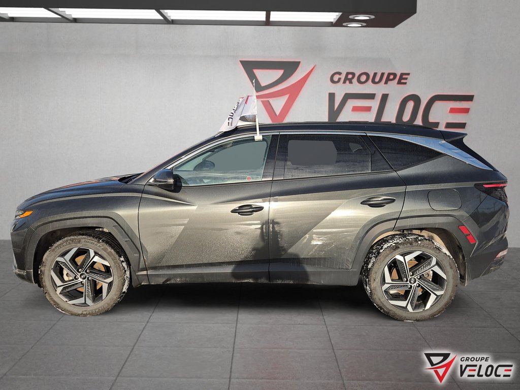 Hyundai Tucson Hybrid Luxury hybrid AWD *CUIR, TOIT, NAVI* 2023 à Rivière-du-Loup, Québec - 8 - w1024h768px