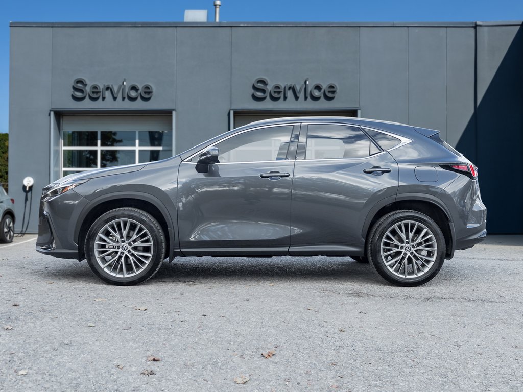 2025 Lexus NX 350h AWD/ LOW KM/ SAFETY CERTIFIED/ RED INT-2