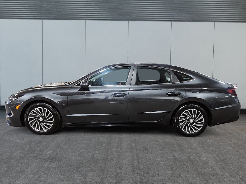 2023 Hyundai Sonata Hybrid ULTIMATE-4