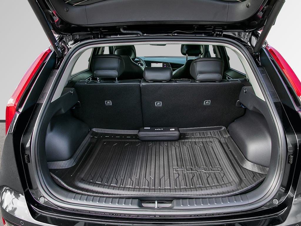 2025 Kia Niro EV Wave-6