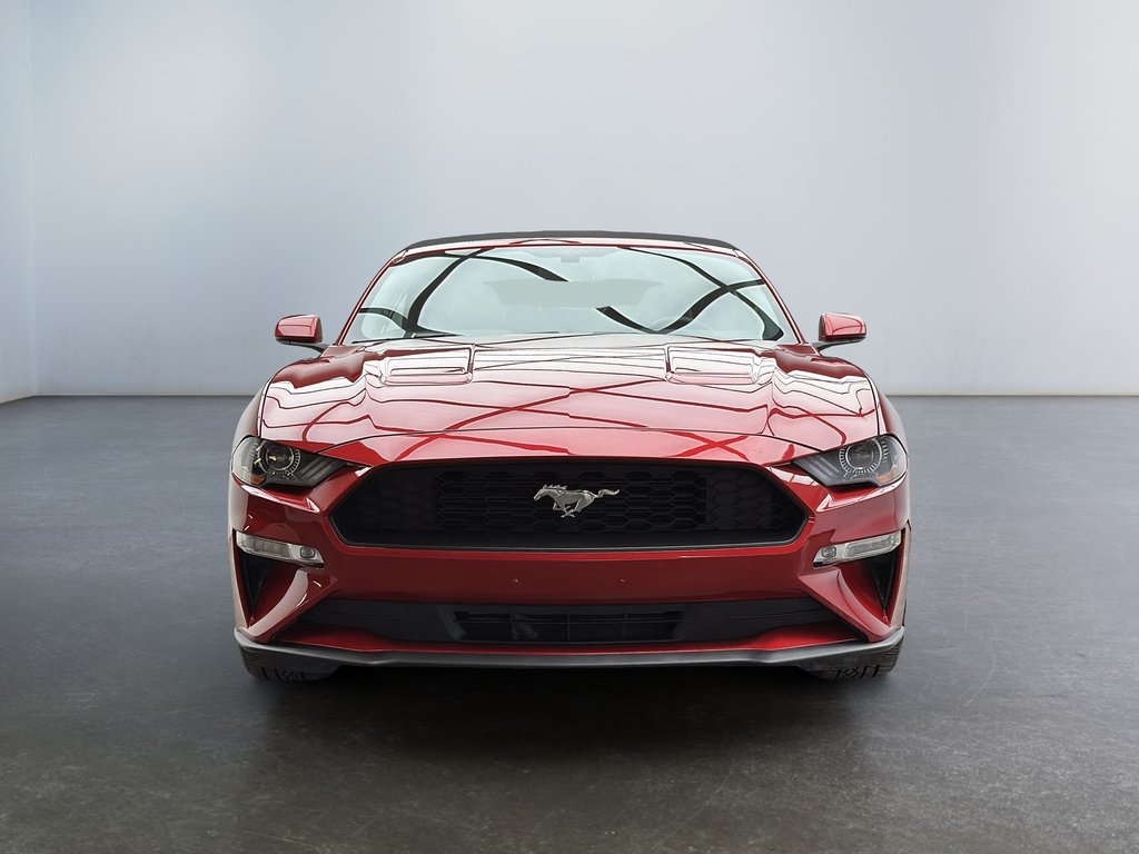2020 Ford Mustang EcoBoost Convertible in Laval, Quebec - 9 - w1024h768px