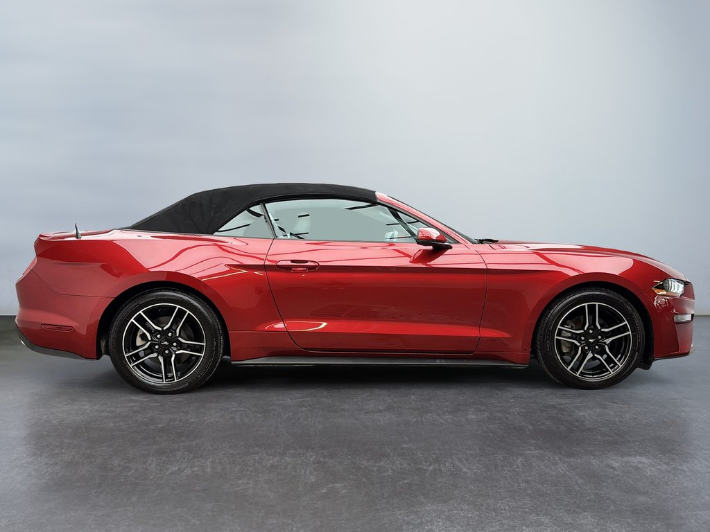 2020 Ford Mustang EcoBoost Convertible in Laval, Quebec - 8 - w1024h768px