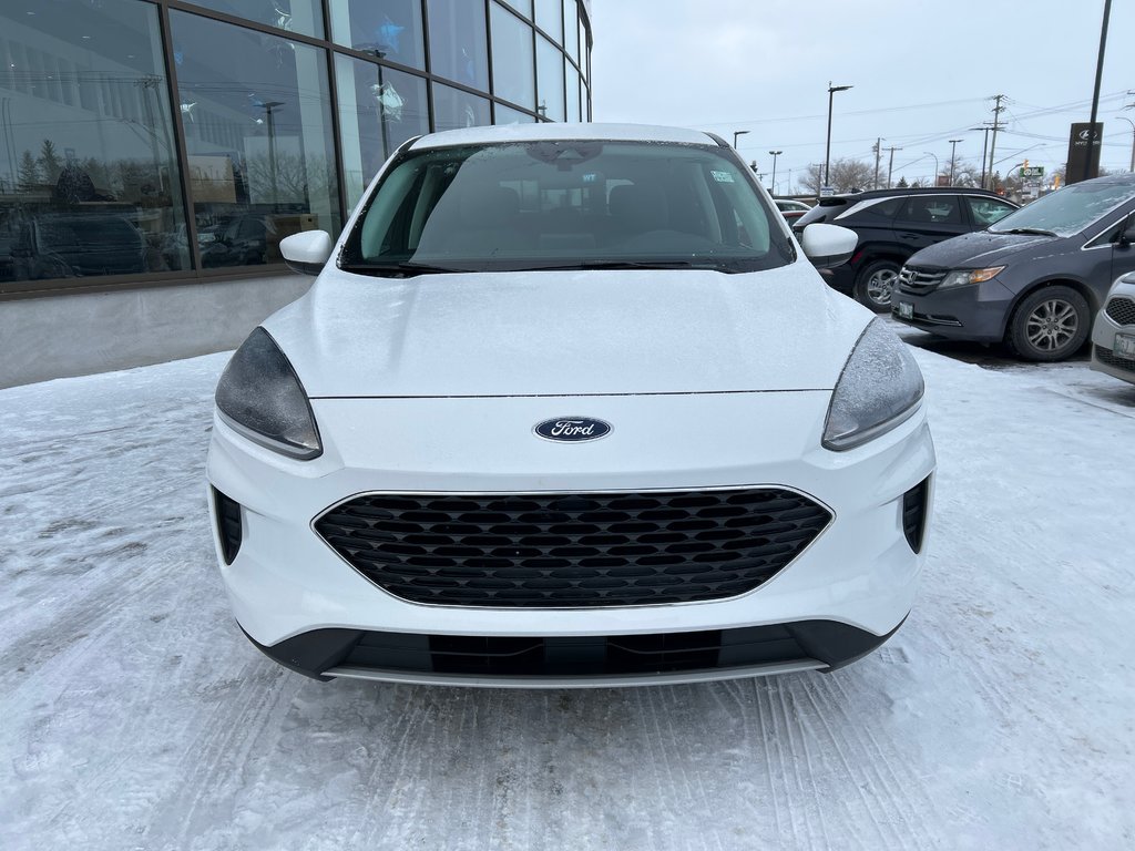 2021 Ford Escape SE in Winnipeg, Manitoba - 9 - w1024h768px