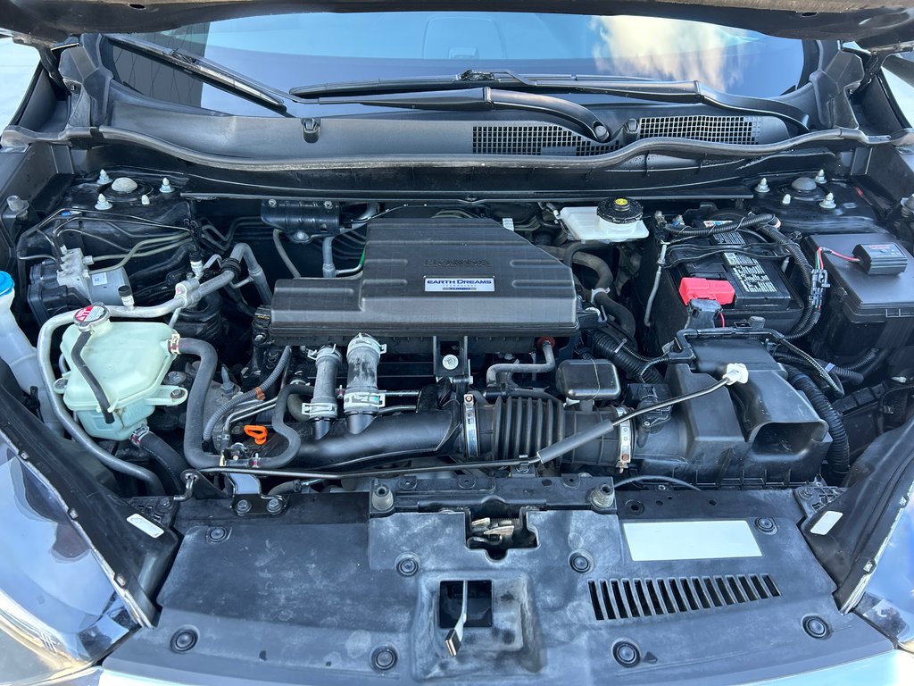 2018 Honda CR-V LX in Winnipeg, Manitoba - 11 - w1024h768px