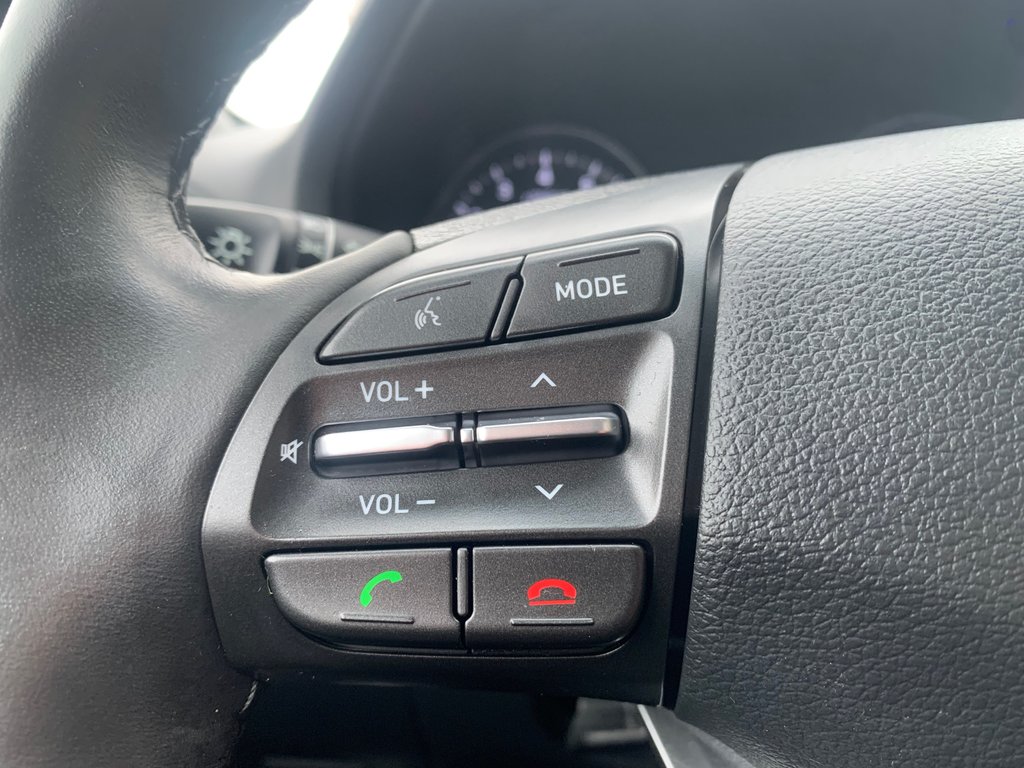 2019 Hyundai Elantra GT Preferred in Winnipeg, Manitoba - 14 - w1024h768px
