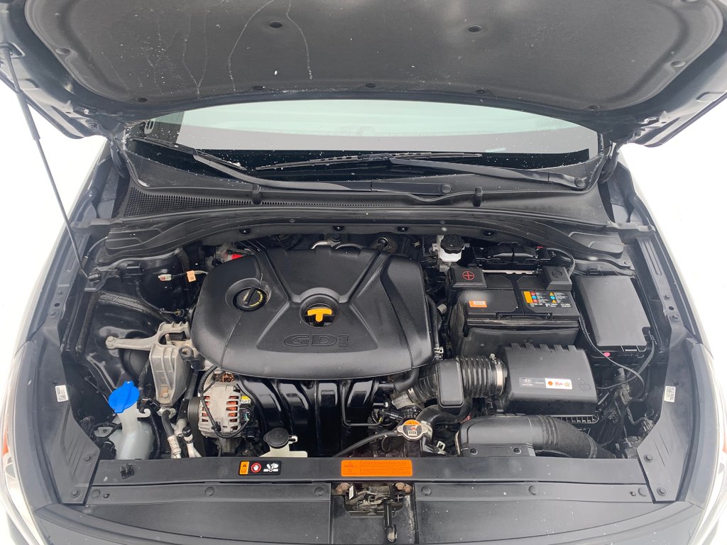 2019 Hyundai Elantra GT Preferred in Winnipeg, Manitoba - 11 - w1024h768px