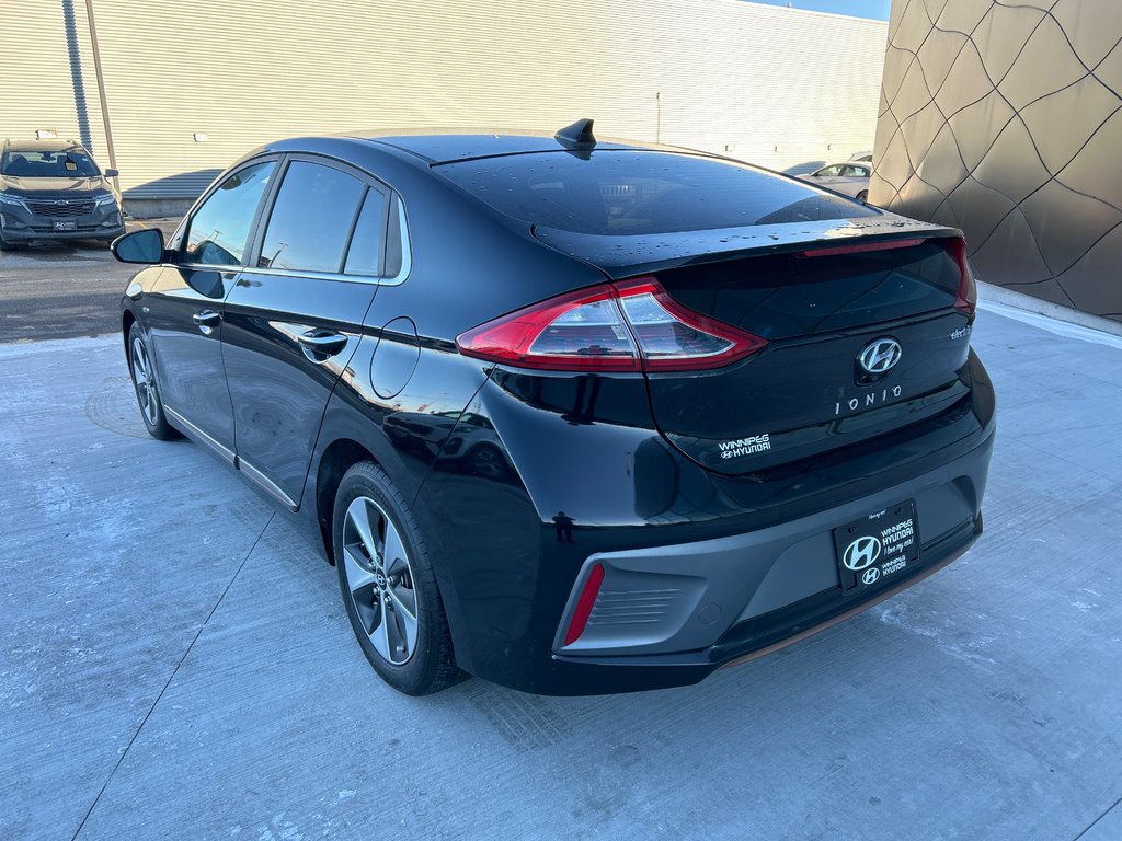 2019 Hyundai Ioniq Electric ULTIMATE in Winnipeg, Manitoba - 3 - w1024h768px