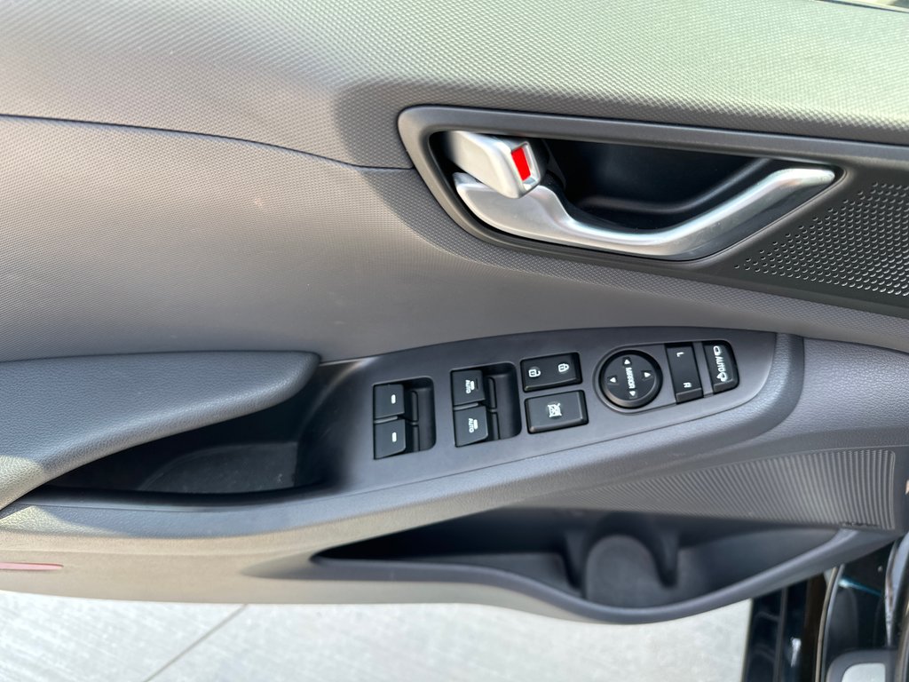 2019 Hyundai Ioniq Electric ULTIMATE in Winnipeg, Manitoba - 12 - w1024h768px