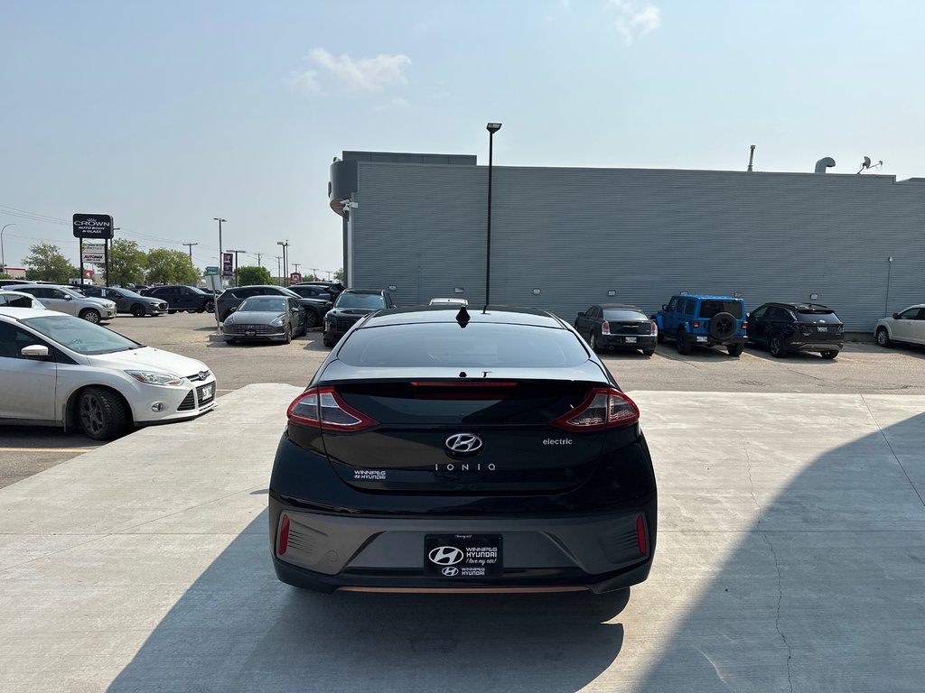 2019 Hyundai Ioniq Electric ULTIMATE in Winnipeg, Manitoba - 4 - w1024h768px