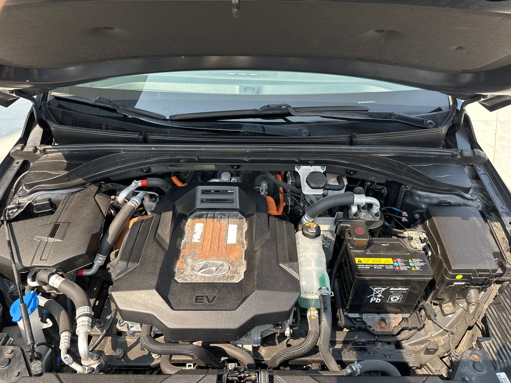 2019 Hyundai Ioniq Electric ULTIMATE in Winnipeg, Manitoba - 10 - w1024h768px