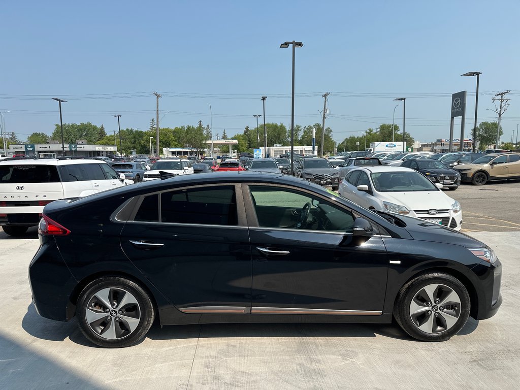 2019 Hyundai Ioniq Electric ULTIMATE in Winnipeg, Manitoba - 6 - w1024h768px