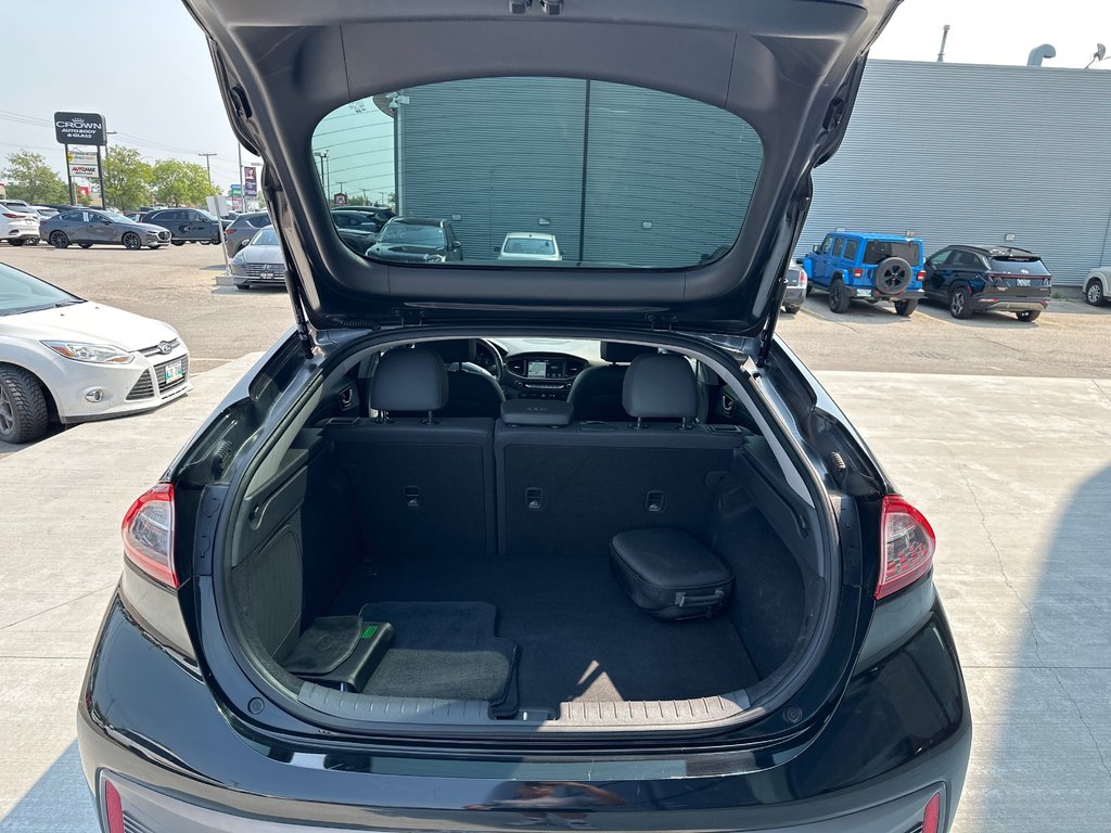 2019 Hyundai Ioniq Electric ULTIMATE in Winnipeg, Manitoba - 11 - w1024h768px