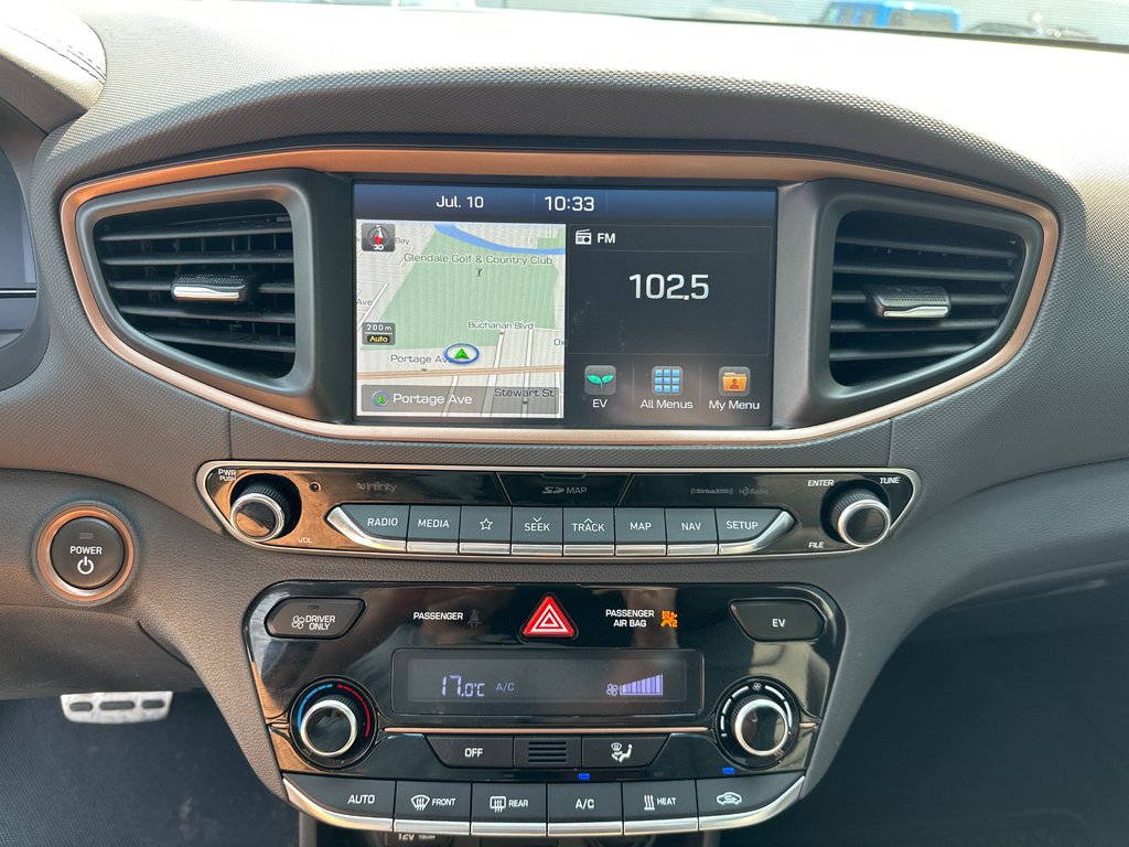 2019 Hyundai Ioniq Electric ULTIMATE in Winnipeg, Manitoba - 21 - w1024h768px