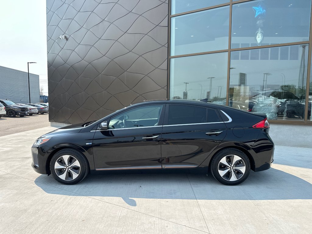 2019 Hyundai Ioniq Electric ULTIMATE in Winnipeg, Manitoba - 2 - w1024h768px