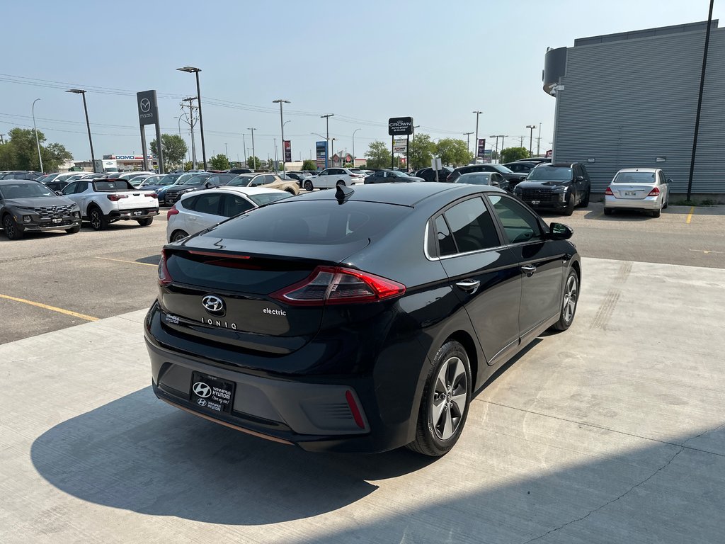 2019 Hyundai Ioniq Electric ULTIMATE in Winnipeg, Manitoba - 5 - w1024h768px