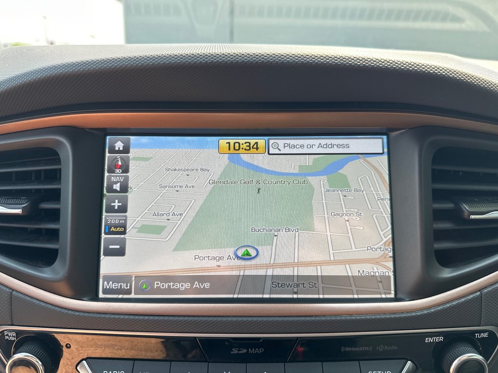 2019 Hyundai Ioniq Electric ULTIMATE in Winnipeg, Manitoba - 27 - w1024h768px