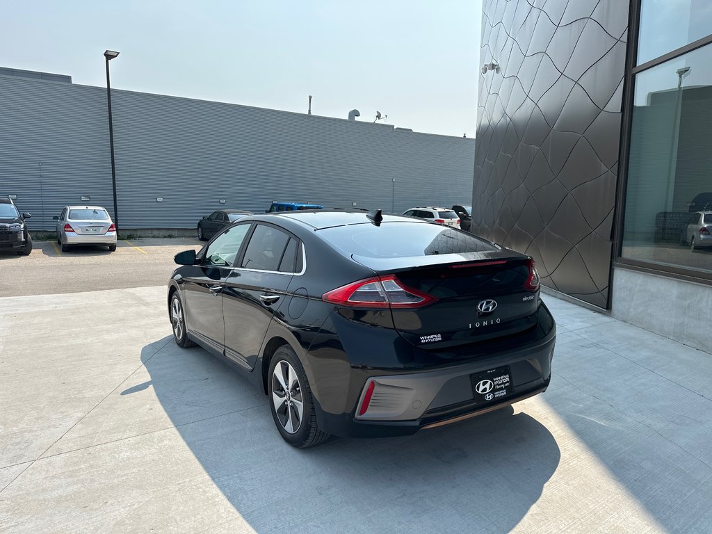 2019 Hyundai Ioniq Electric ULTIMATE in Winnipeg, Manitoba - 3 - w1024h768px