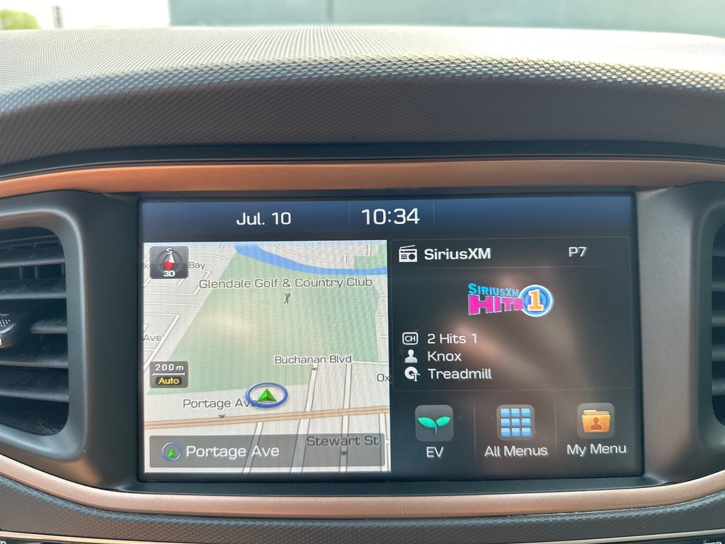 2019 Hyundai Ioniq Electric ULTIMATE in Winnipeg, Manitoba - 23 - w1024h768px