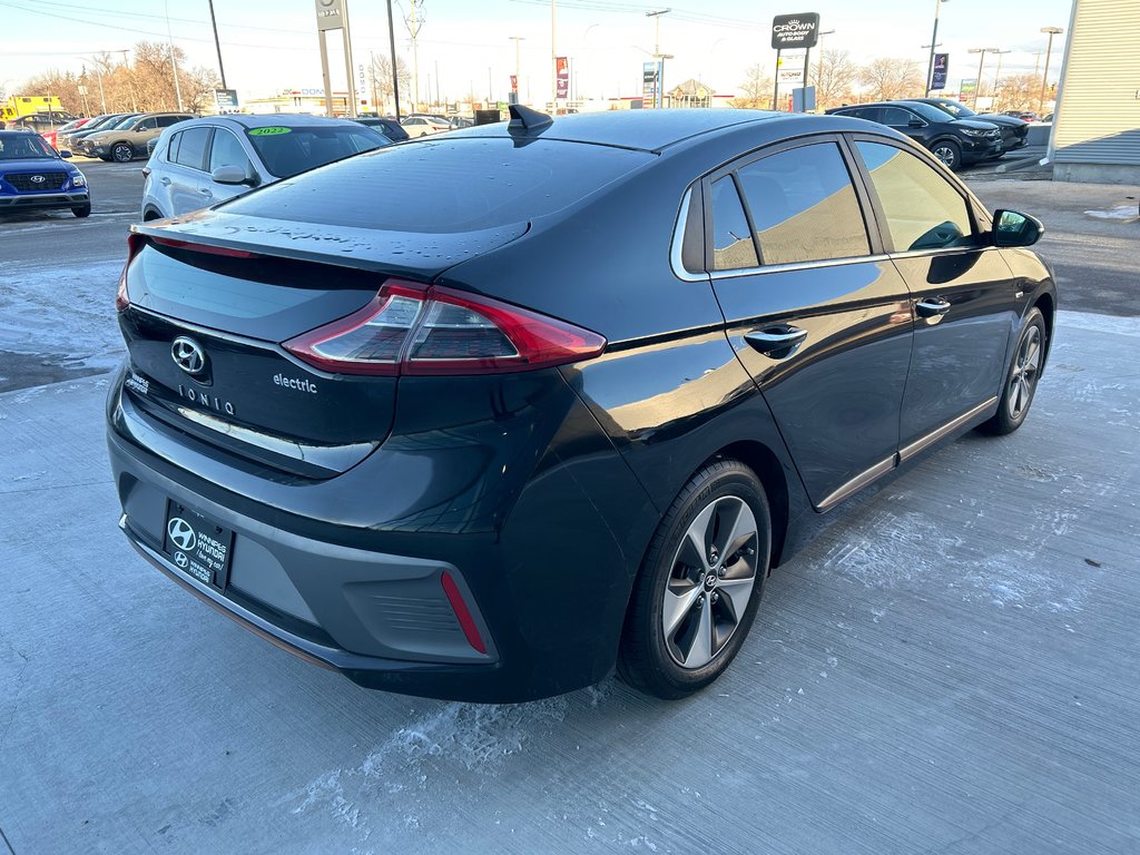 2019 Hyundai Ioniq Electric ULTIMATE in Winnipeg, Manitoba - 5 - w1024h768px
