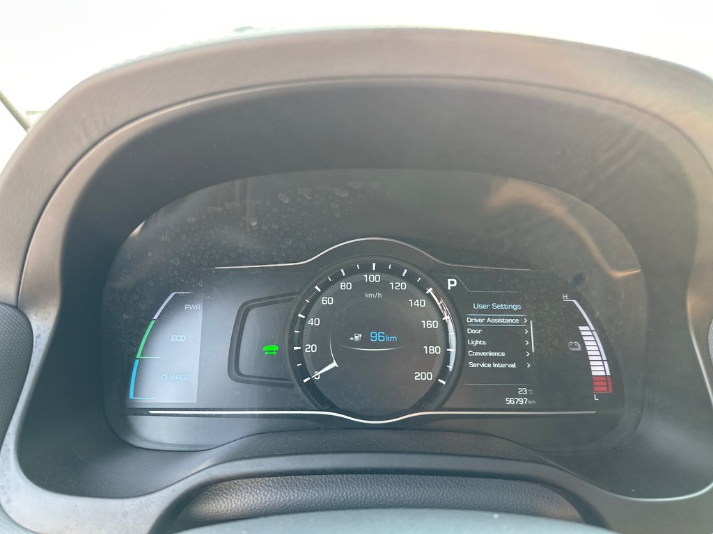 2019 Hyundai Ioniq Electric ULTIMATE in Winnipeg, Manitoba - 20 - w1024h768px