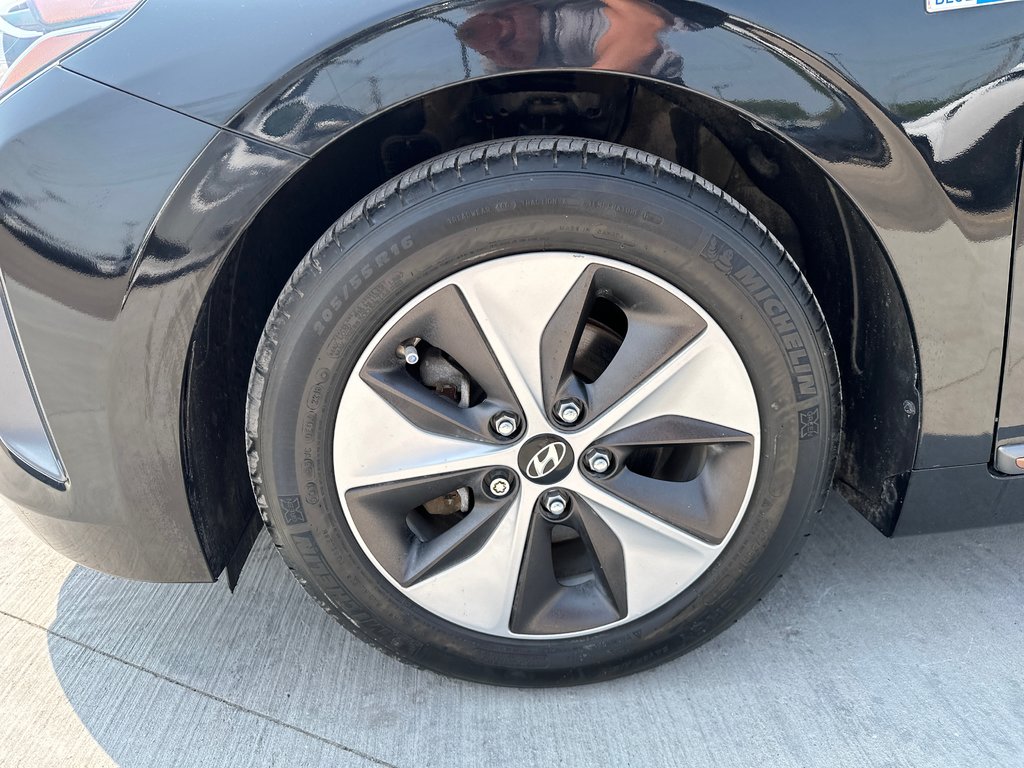 2019 Hyundai Ioniq Electric ULTIMATE in Winnipeg, Manitoba - 9 - w1024h768px