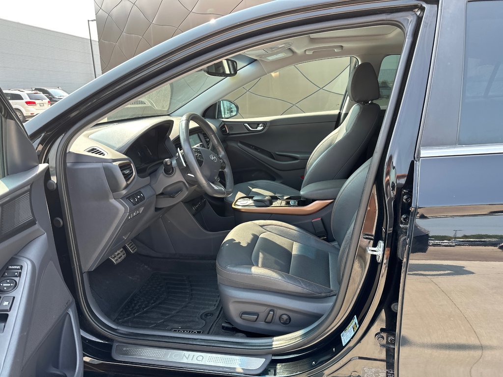 2019 Hyundai Ioniq Electric ULTIMATE in Winnipeg, Manitoba - 13 - w1024h768px