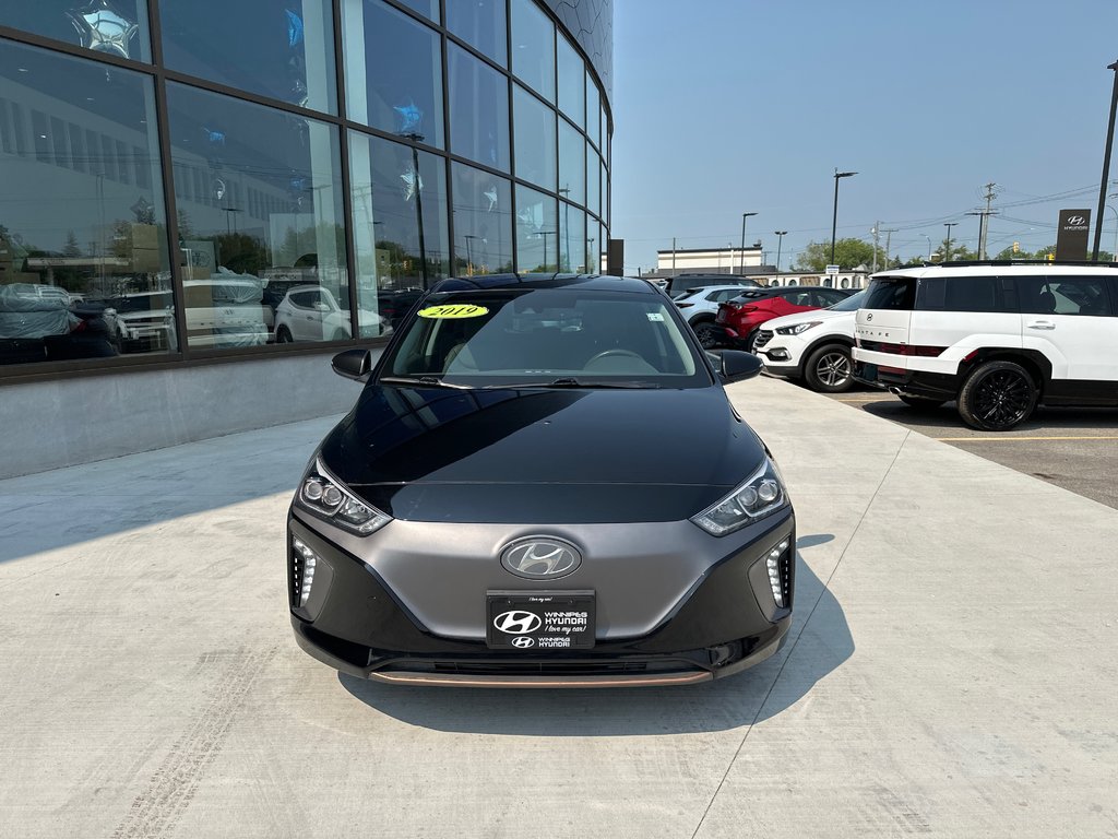 2019 Hyundai Ioniq Electric ULTIMATE in Winnipeg, Manitoba - 8 - w1024h768px