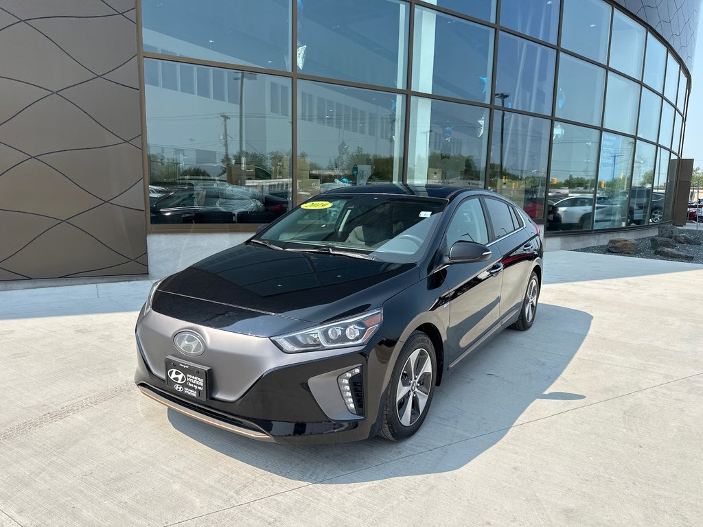 2019 Hyundai Ioniq Electric ULTIMATE in Winnipeg, Manitoba - 1 - w1024h768px