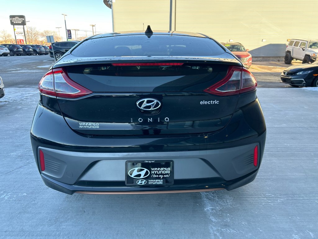 2019 Hyundai Ioniq Electric ULTIMATE in Winnipeg, Manitoba - 4 - w1024h768px