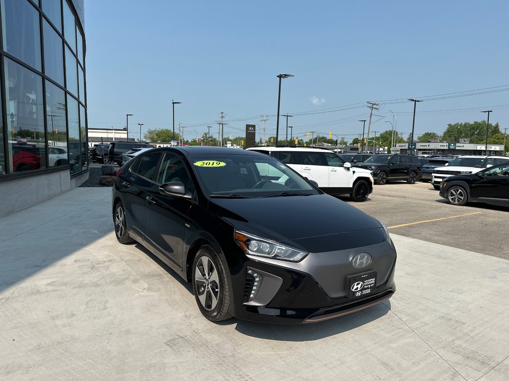 2019 Hyundai Ioniq Electric ULTIMATE in Winnipeg, Manitoba - 7 - w1024h768px