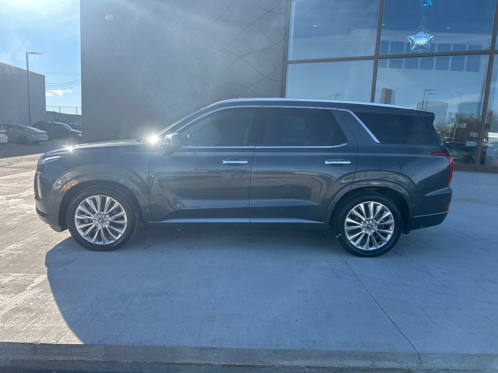 2020 Hyundai Palisade Ultimate in Winnipeg, Manitoba - 2 - w1024h768px