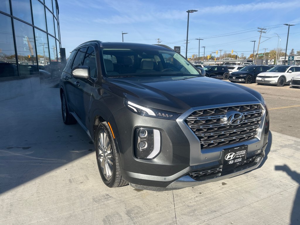 2020 Hyundai Palisade Ultimate in Winnipeg, Manitoba - 8 - w1024h768px