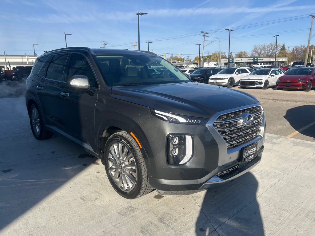 2020 Hyundai Palisade Ultimate in Winnipeg, Manitoba - 7 - w1024h768px